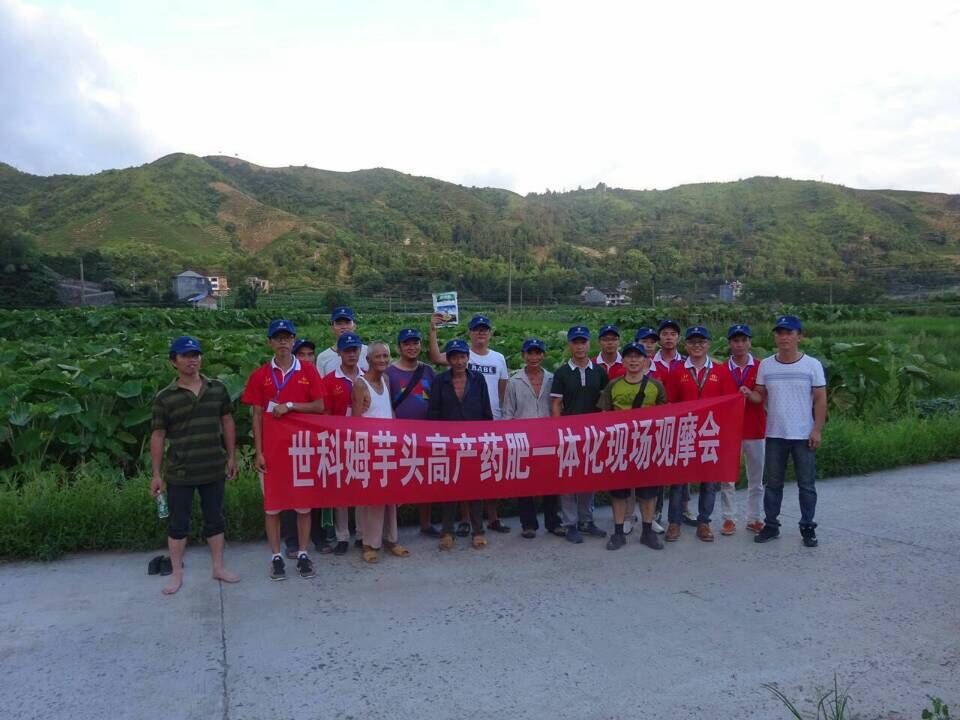 集團公司農(nóng)化部開展了“藥肥一體化”現(xiàn)場觀摩會