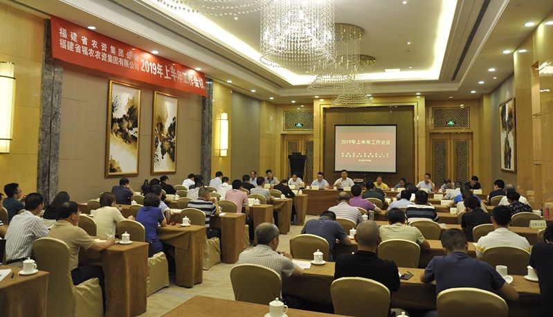 集團(tuán)公司召開2019年上半年工作會(huì)議