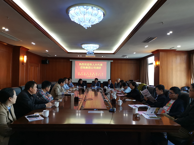 福州市人大到集團(tuán)公司視察調(diào)研