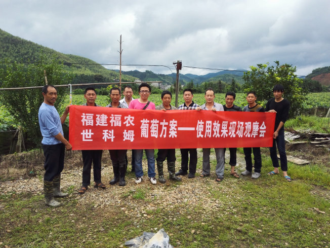 “世科姆藥肥一體化——葡萄全程方案”種植大戶現(xiàn)場觀摩會