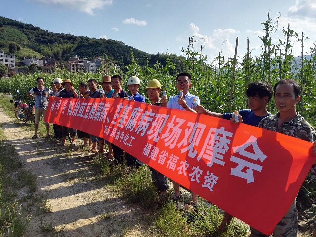 農(nóng)化部在建甌召開福帥得防治豇豆莖基腐病現(xiàn)場觀摩會
