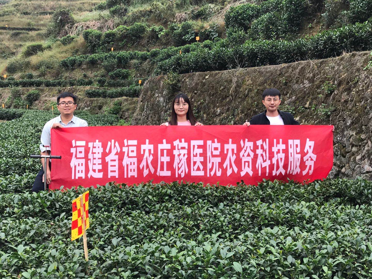 科技服務(wù)下黨茶業(yè)  積極助力脫貧攻堅(jiān)