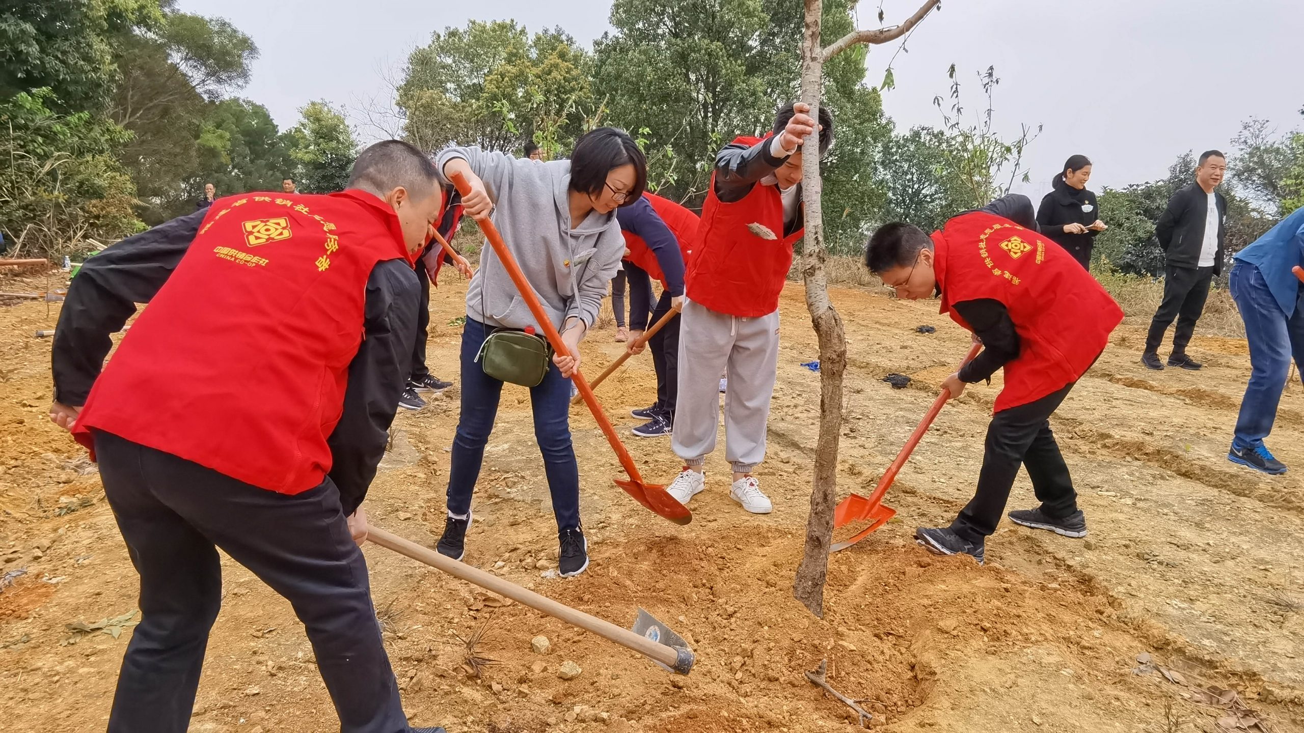 種下綠色  共享藍(lán)天-集團(tuán)公司攜手中信銀行開展義務(wù)植樹共建活動(dòng)