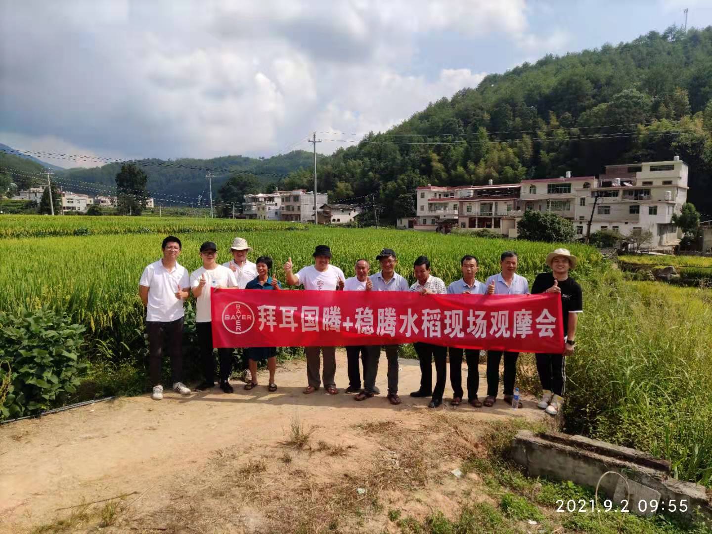 閩西公司組織開展拜耳產(chǎn)品水稻現(xiàn)場(chǎng)觀摩會(huì)