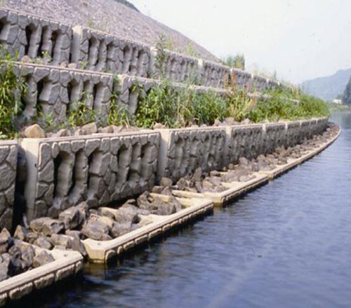 集團(tuán)公司黨委書記、董事長吳基好赴武夷新區(qū)永富農(nóng)業(yè)考察調(diào)研