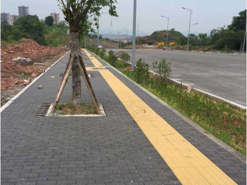 集團公司聯(lián)合省農(nóng)機總站舉辦農(nóng)作物全程機械化推進行動現(xiàn)場會